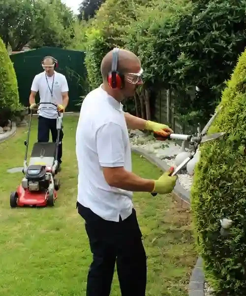 How To Maintain A Comfortable And Hygienic Living Space